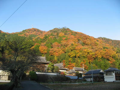 IMG_4636_1.jpg