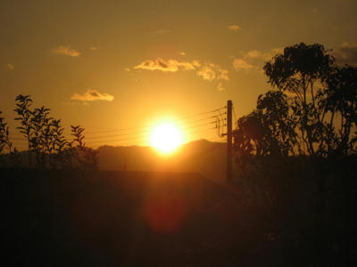 IMG_4669_1.jpg
