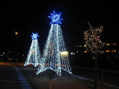 IMG_4674_1.jpg