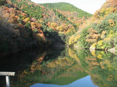 IMG_4639_1.jpg