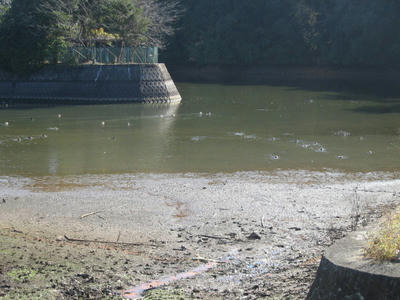 IMG_4688_1.jpg