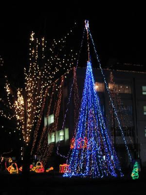 IMG_4694_1.jpg