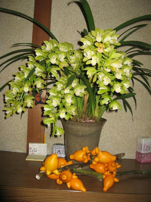 IMG_4712_1.jpg