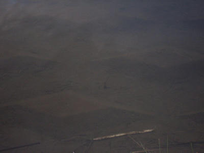 IMG_4742_1.jpg