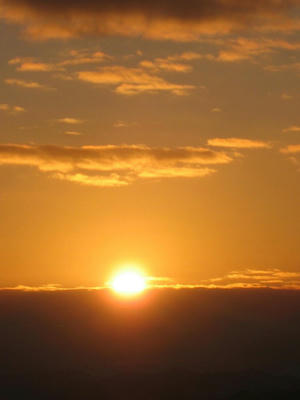 IMG_4779_1.jpg