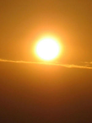 IMG_4785_1.jpg
