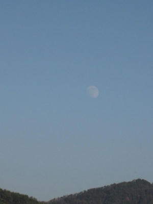 IMG_4787_1.jpg