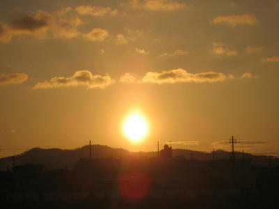 IMG_4805_1.jpg