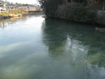 IMG_4826_1.jpg