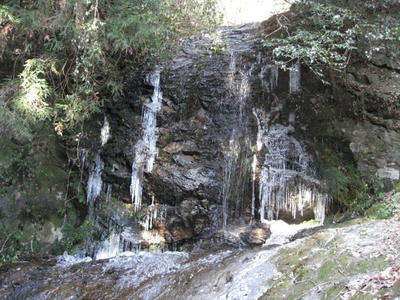 IMG_4897_1.jpg