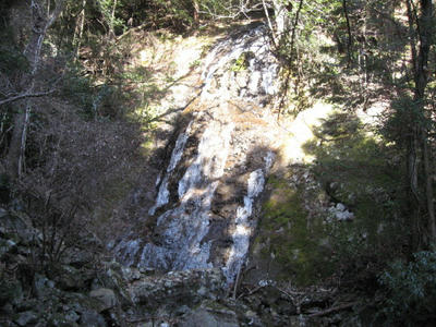 IMG_4901_1.jpg