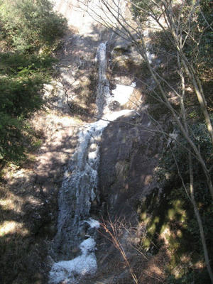 IMG_4908_1.jpg