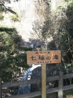 IMG_4907_1.jpg