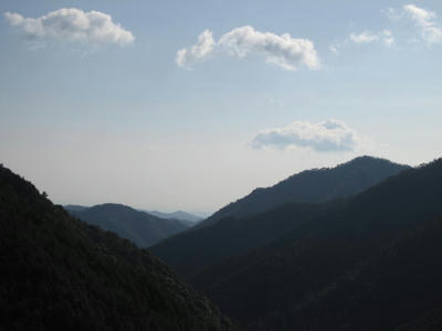 IMG_4912_1.jpg