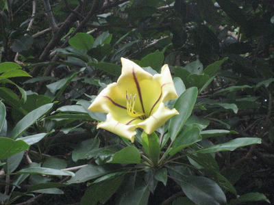 IMG_5008_1.JPG