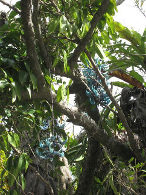 IMG_5040_1.JPG