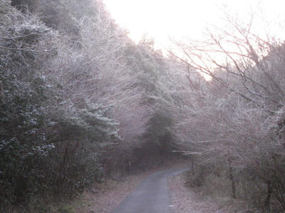 IMG_4929_1.JPG