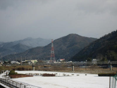 IMG_5287_1.jpg