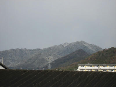 IMG_5289_1.jpg