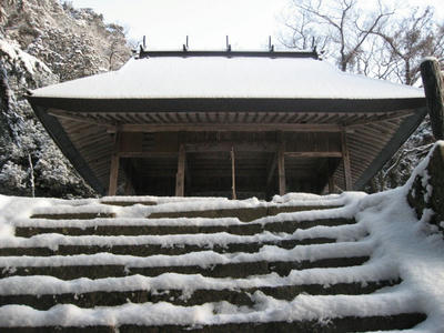 IMG_5336_1.jpg