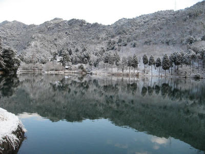 IMG_5360_1.jpg