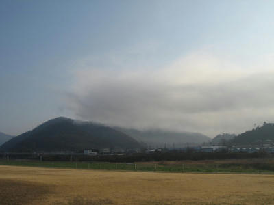 IMG_5553_1.jpg
