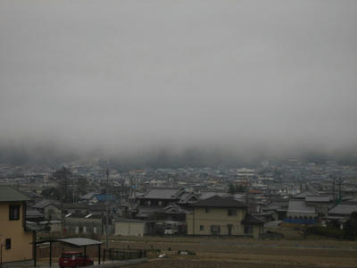 IMG_5560_1.jpg