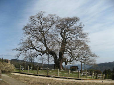 IMG_5586_1.jpg