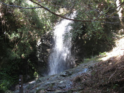 371cd26e.jpg