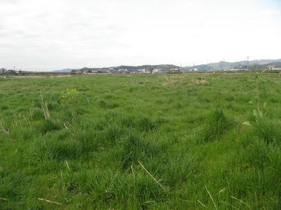 IMG_5691_1.jpg