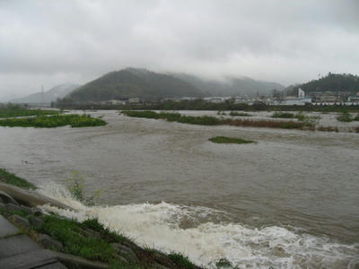 IMG_5672_1.jpg