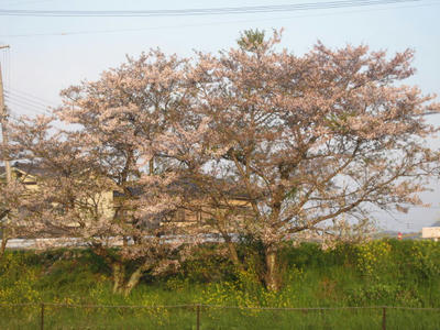 IMG_5702_1.jpg