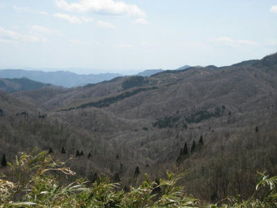 IMG_5760_1.jpg