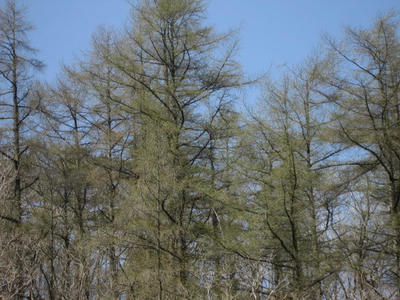 IMG_5773_1.jpg