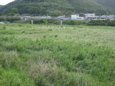 IMG_5887_1.jpg