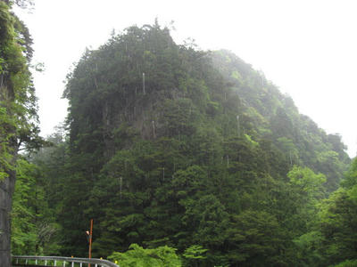 IMG_0004_1.jpg