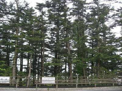 IMG_0018_1.jpg