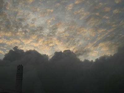 IMG_0121_1.jpg