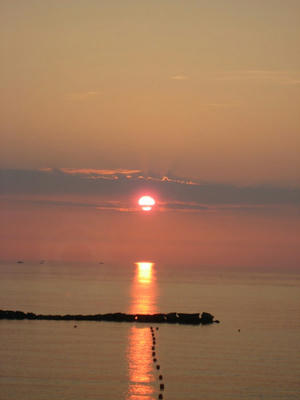 IMG_0154_1.jpg