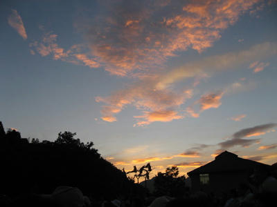 IMG_0160_1.jpg