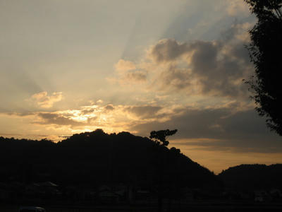IMG_0161_1.jpg