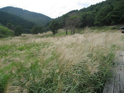 04bf0980.jpg