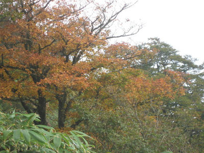 25f1a663.jpg