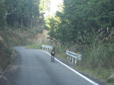 IMG_0001_1.jpg