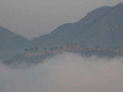 753ea545.jpg