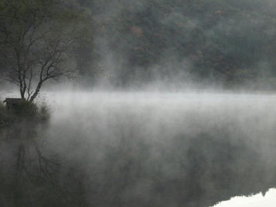IMG_0273_1.jpg