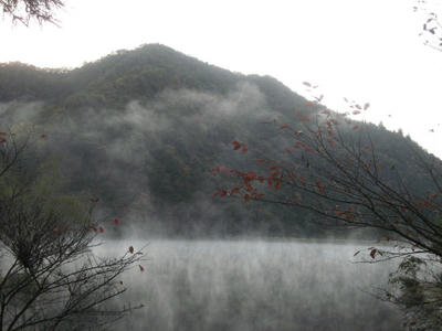 IMG_0285_1.jpg
