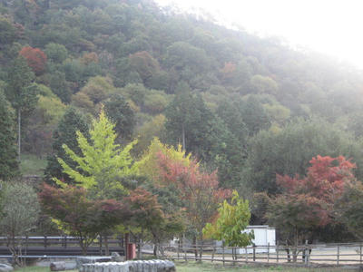 IMG_0283_1.jpg