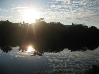 IMG_0533_1.jpg
