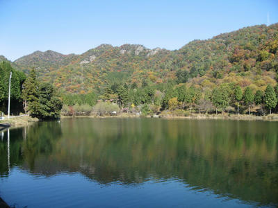 IMG_0550_1.jpg